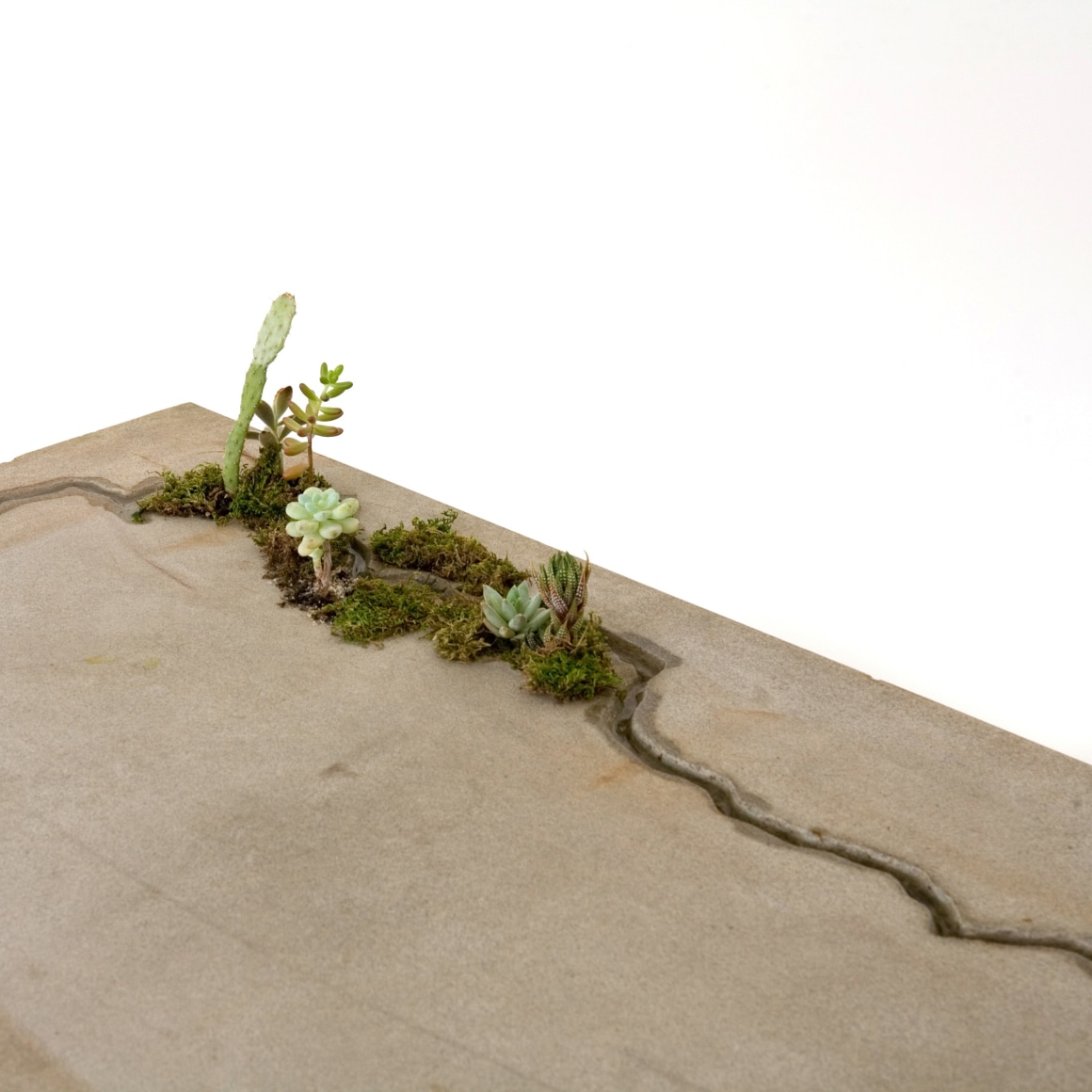 Wolfgang Laubersheimer