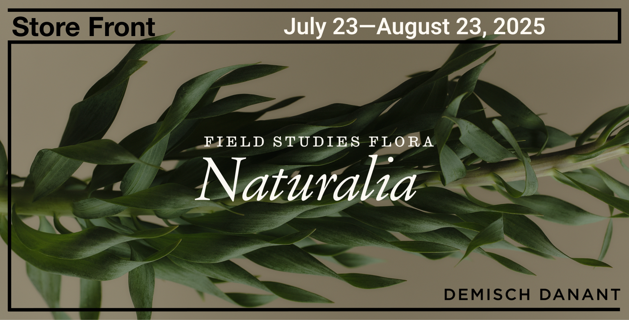 Store Front | Field Studies Flora