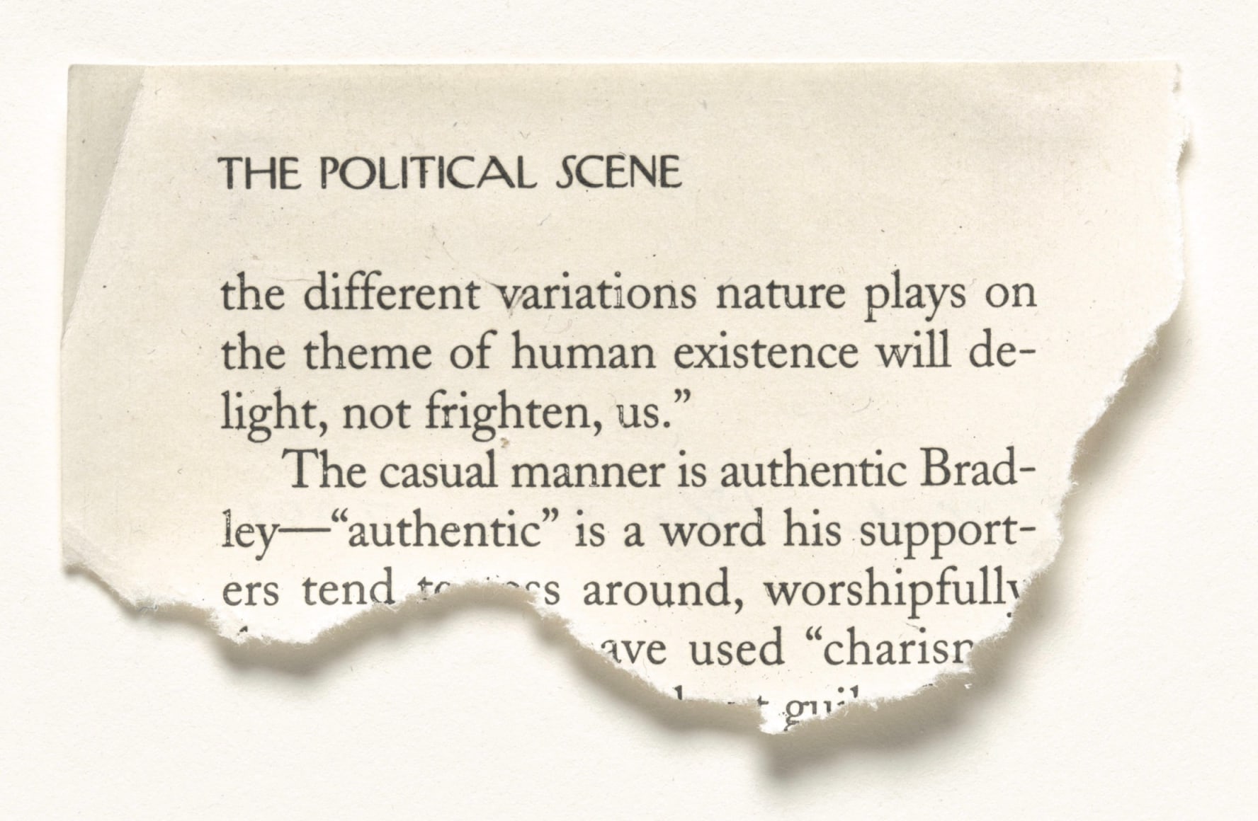 a clipping of a newspaper headline