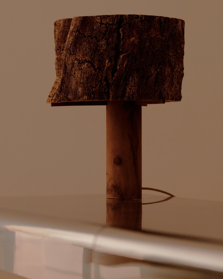 installation view of Spring Show