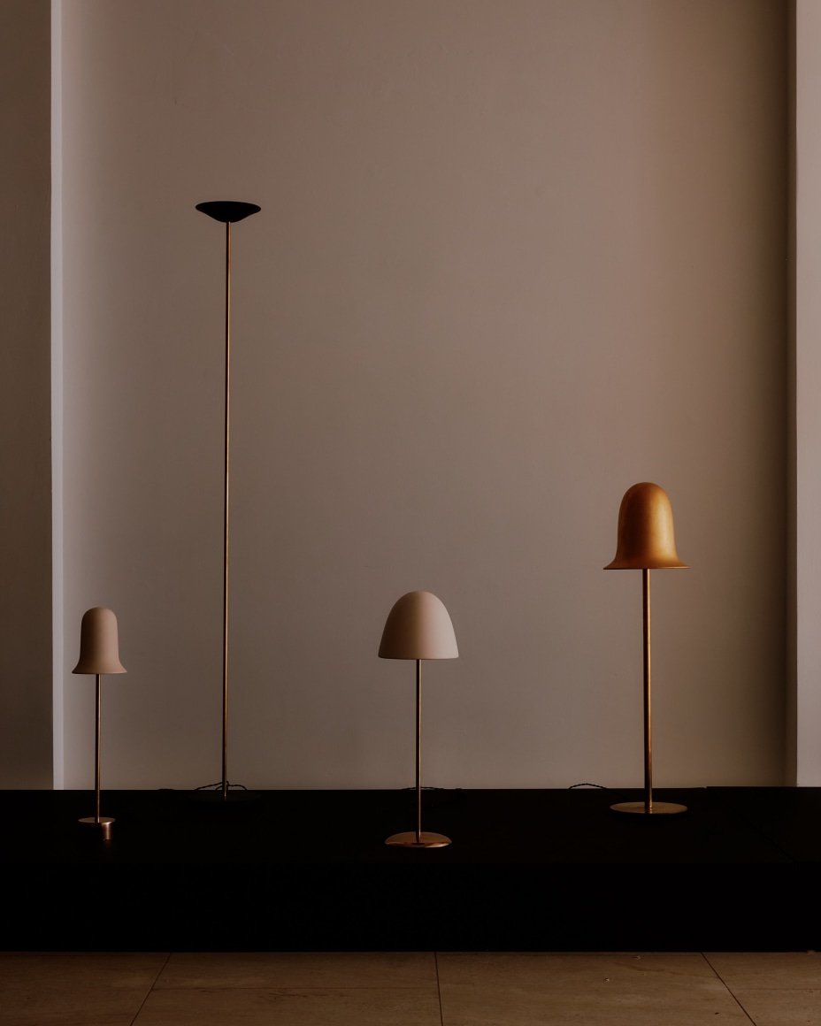 installation view for FLOWers