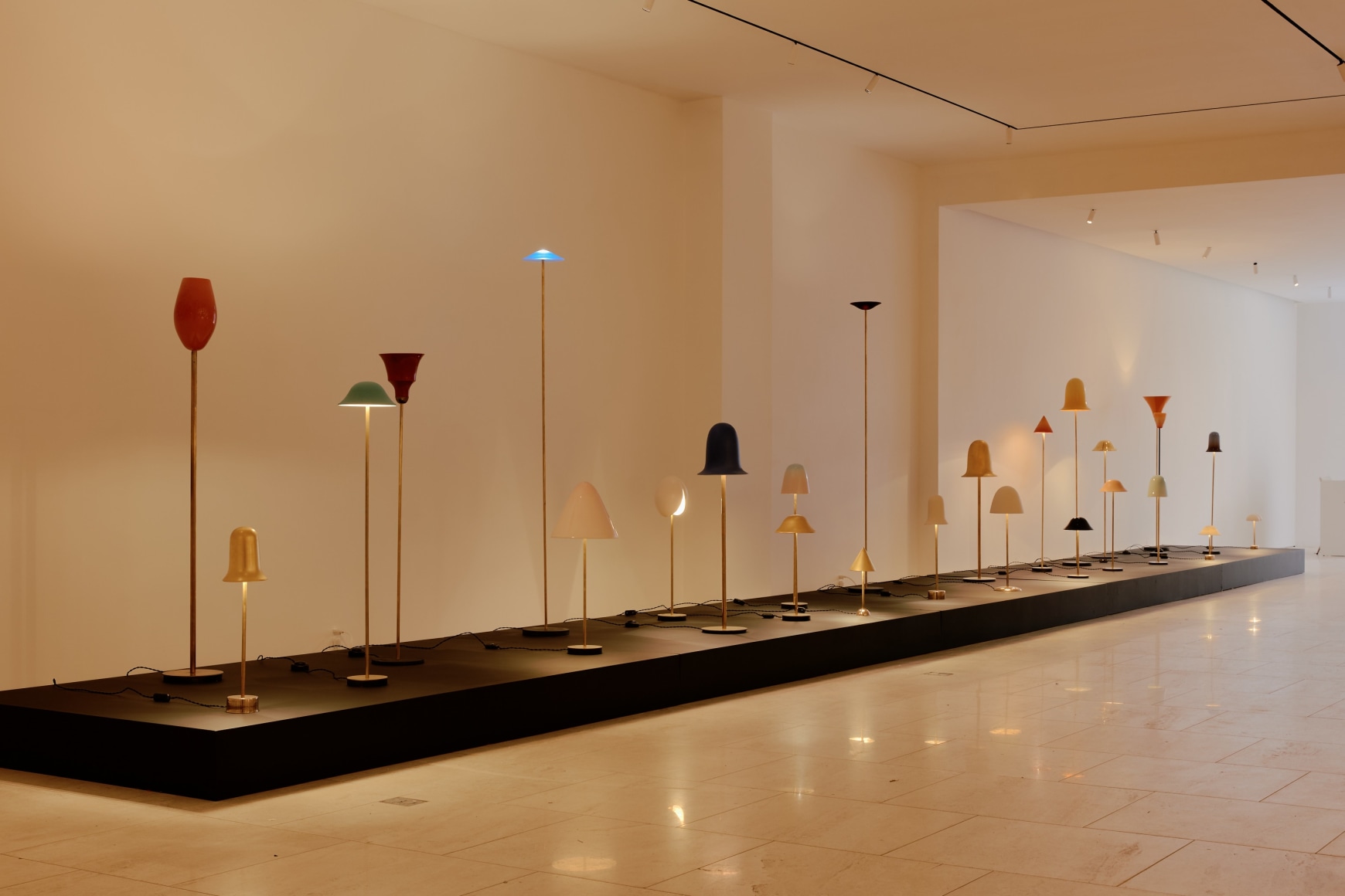 installation view for FLOWers