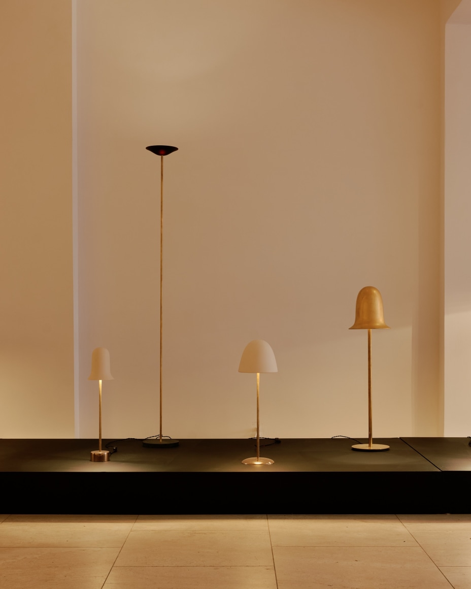 installation view for FLOWers