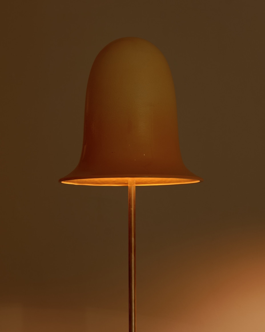 installation view for FLOWers