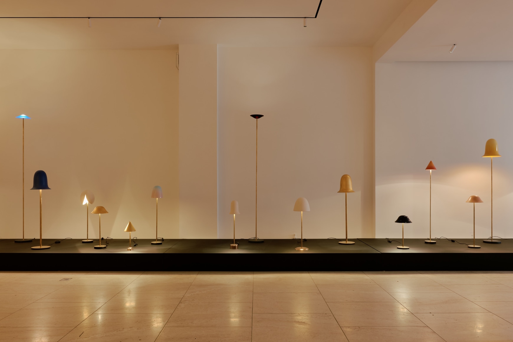 installation view for FLOWers