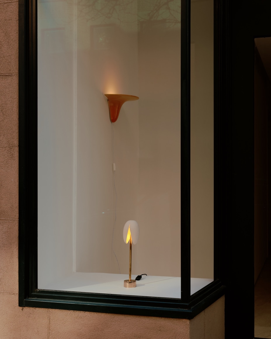 installation view for FLOWers