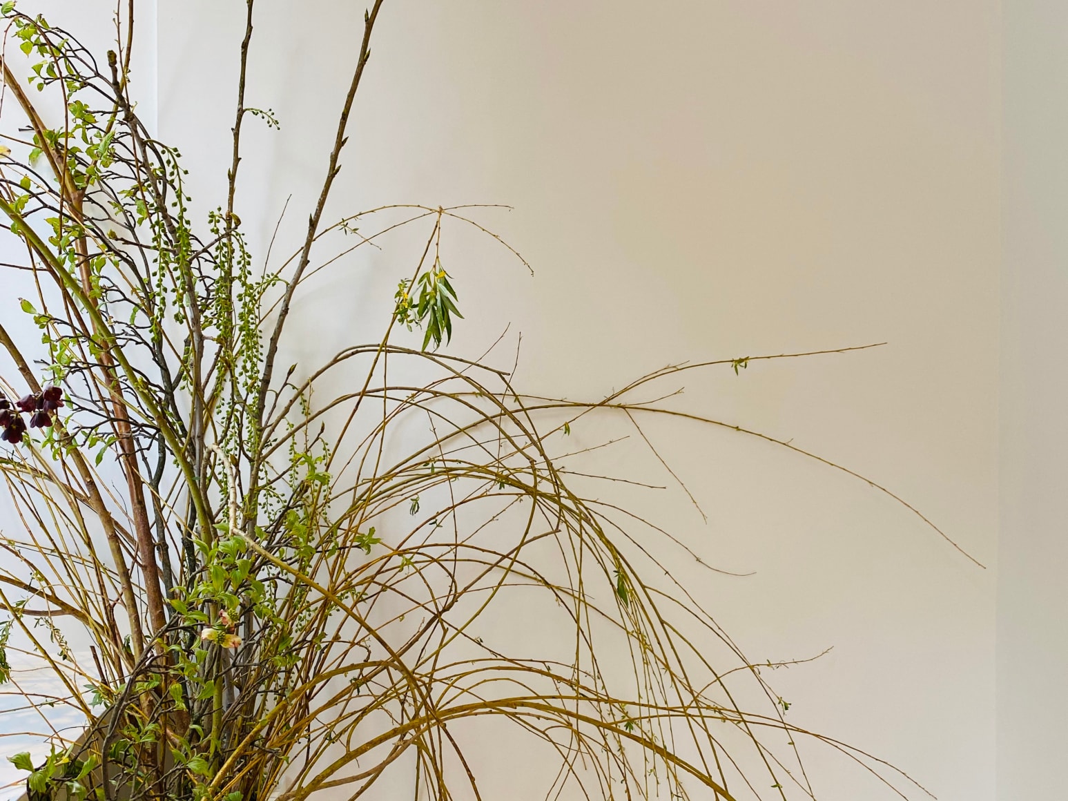 Emily Thompson: Rapids April 21 – May 16, 2021