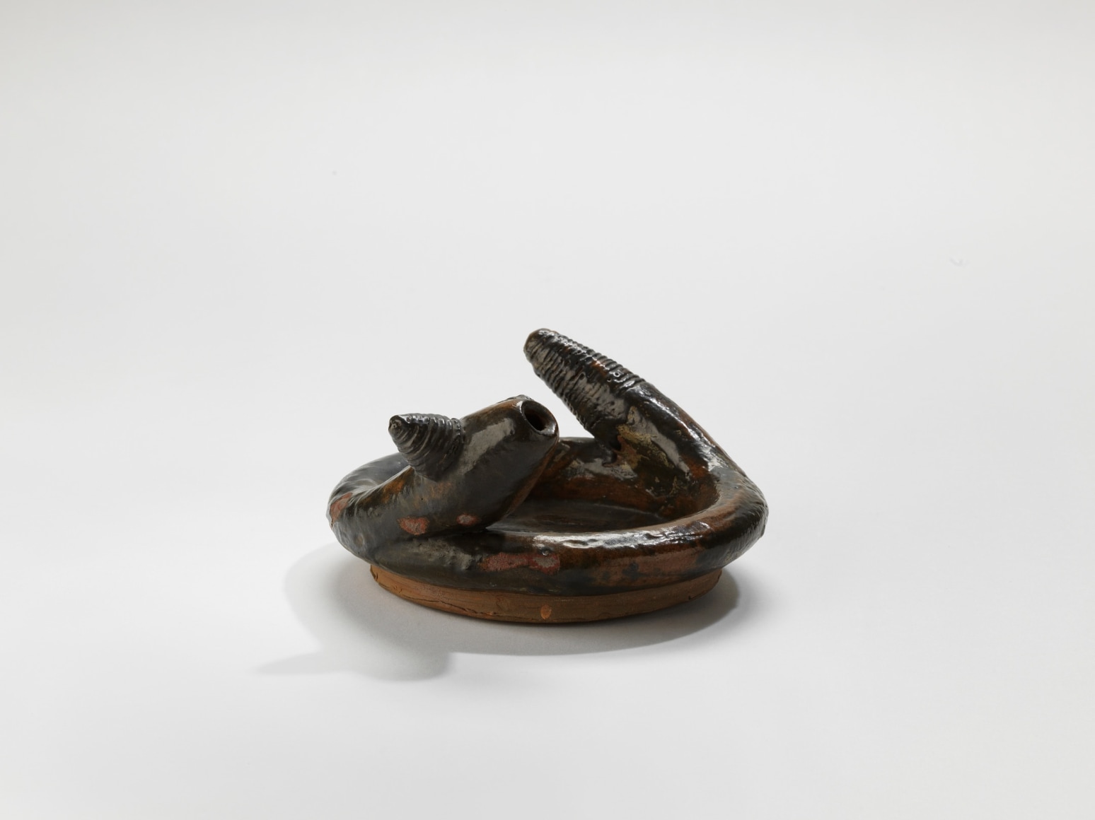photograph of a zoomorphic snake dish in an empty room