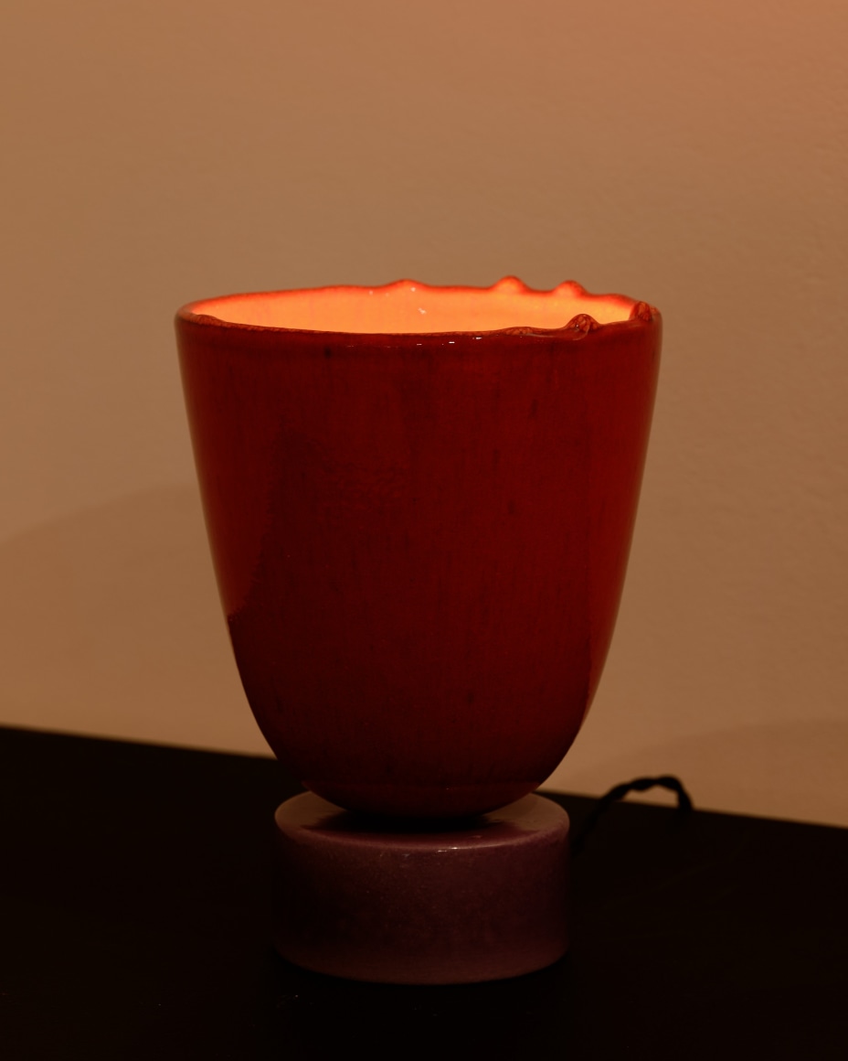 installation view for FLOWers