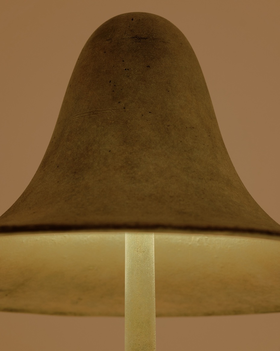 installation view for FLOWers