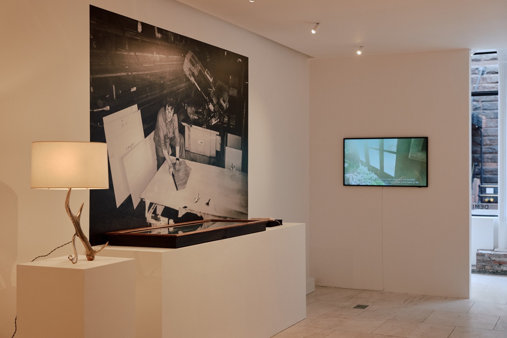 installation view of Precious Strength