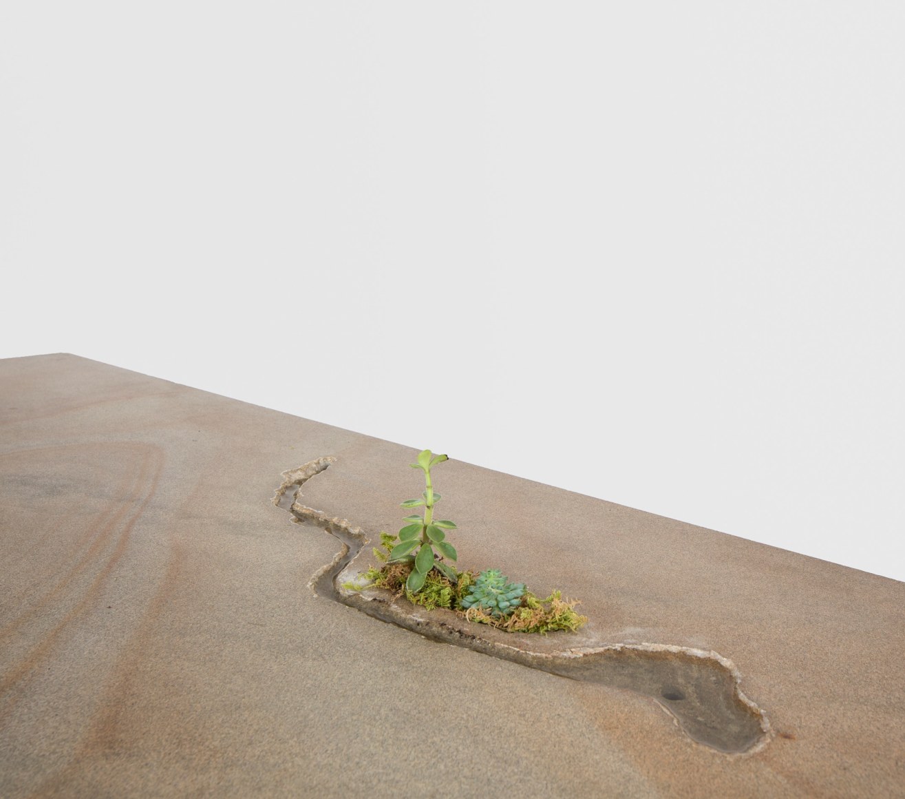 Wolfgang Laubersheimer