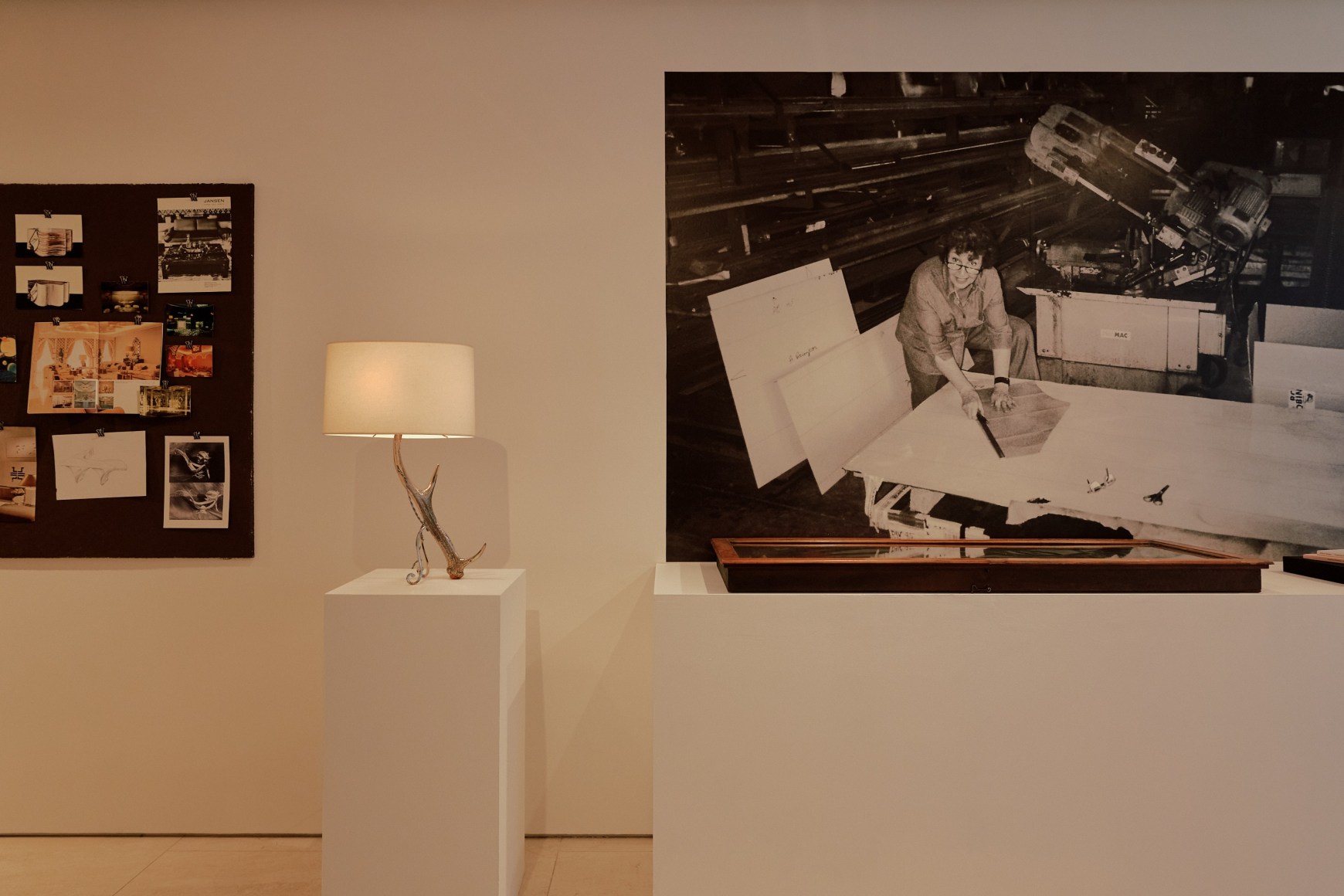 installation view of Precious Strength