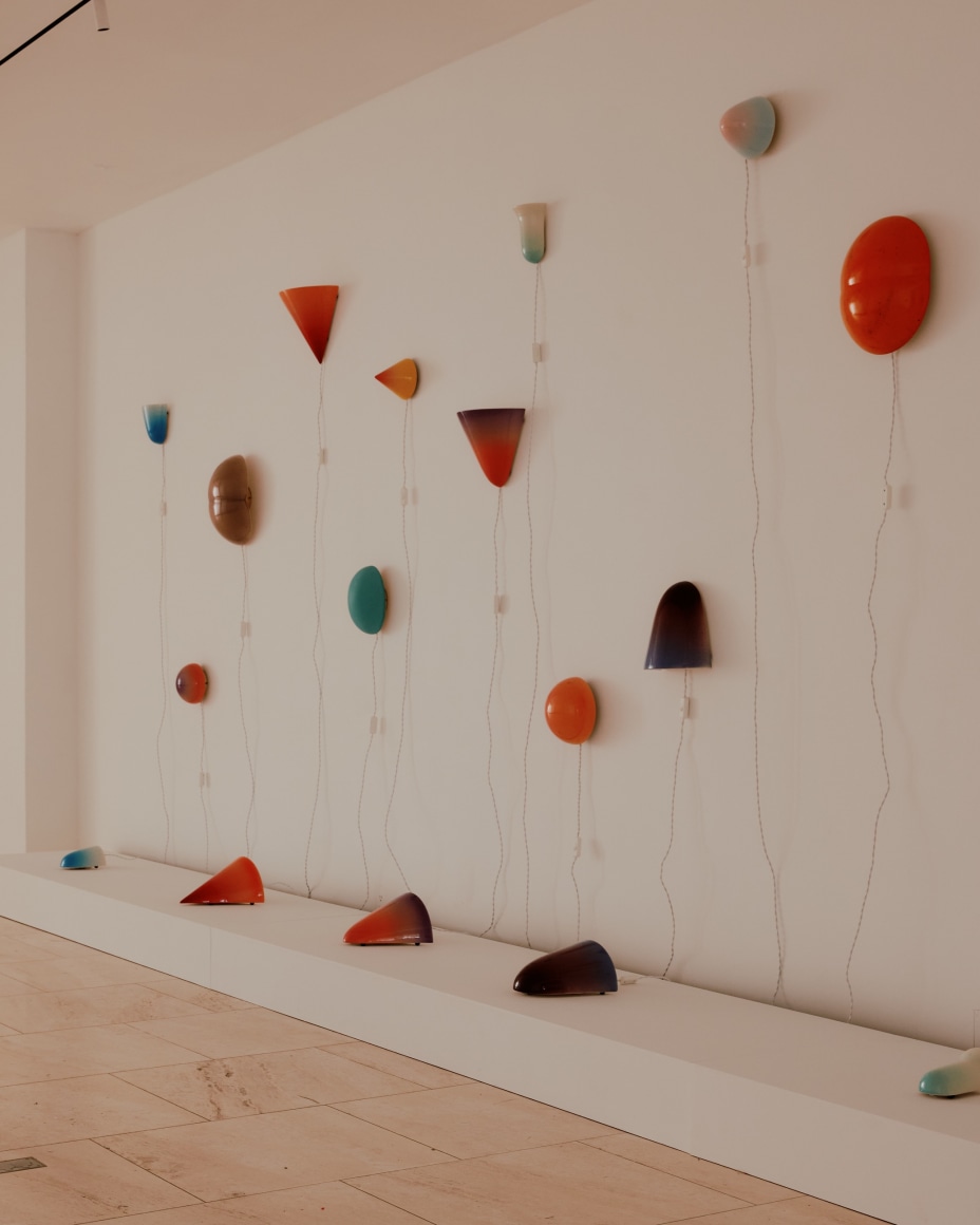 installation view for FLOWers