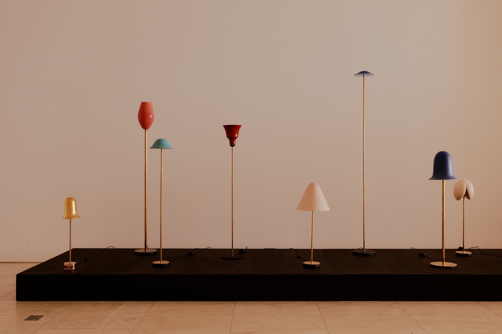 installation view for FLOWers
