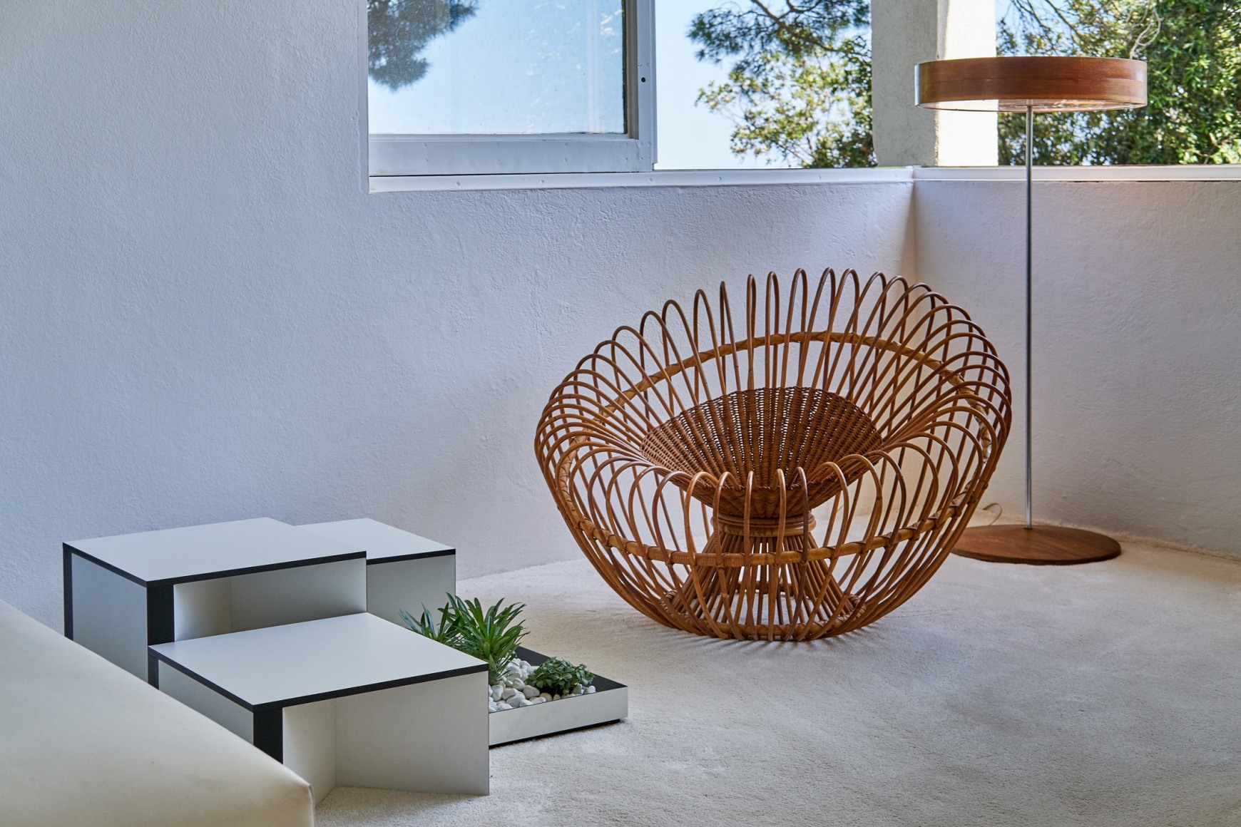 Installation view.&nbsp;Photography by Luc Bertrand