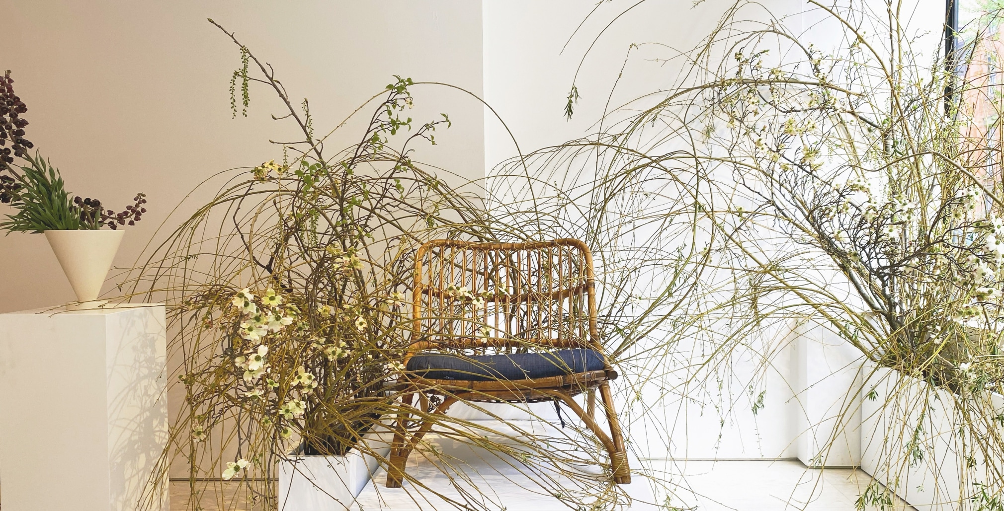 Emily Thompson: Rapids April 21 – May 16, 2021