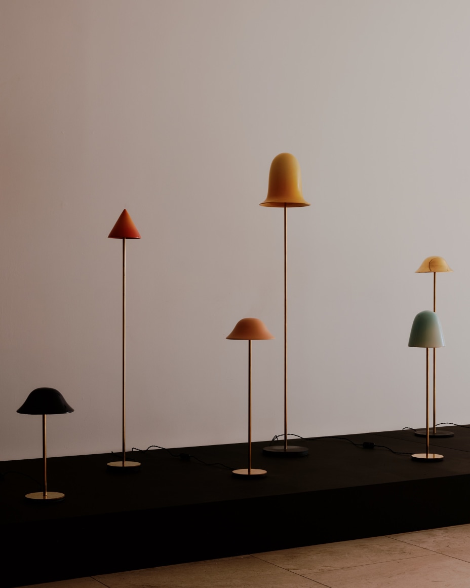 installation view for FLOWers