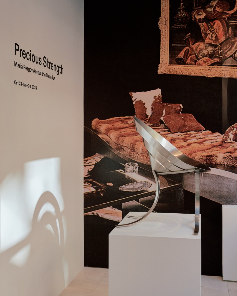 installation view of Precious Strength