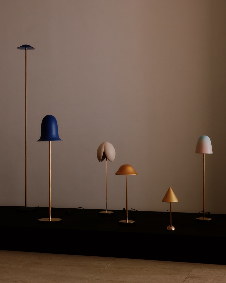 installation view for FLOWers