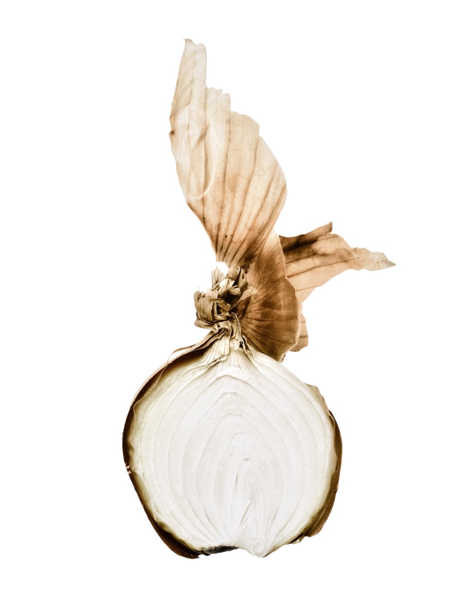 Oignon et pelure (Onion and peel), 2002&nbsp;