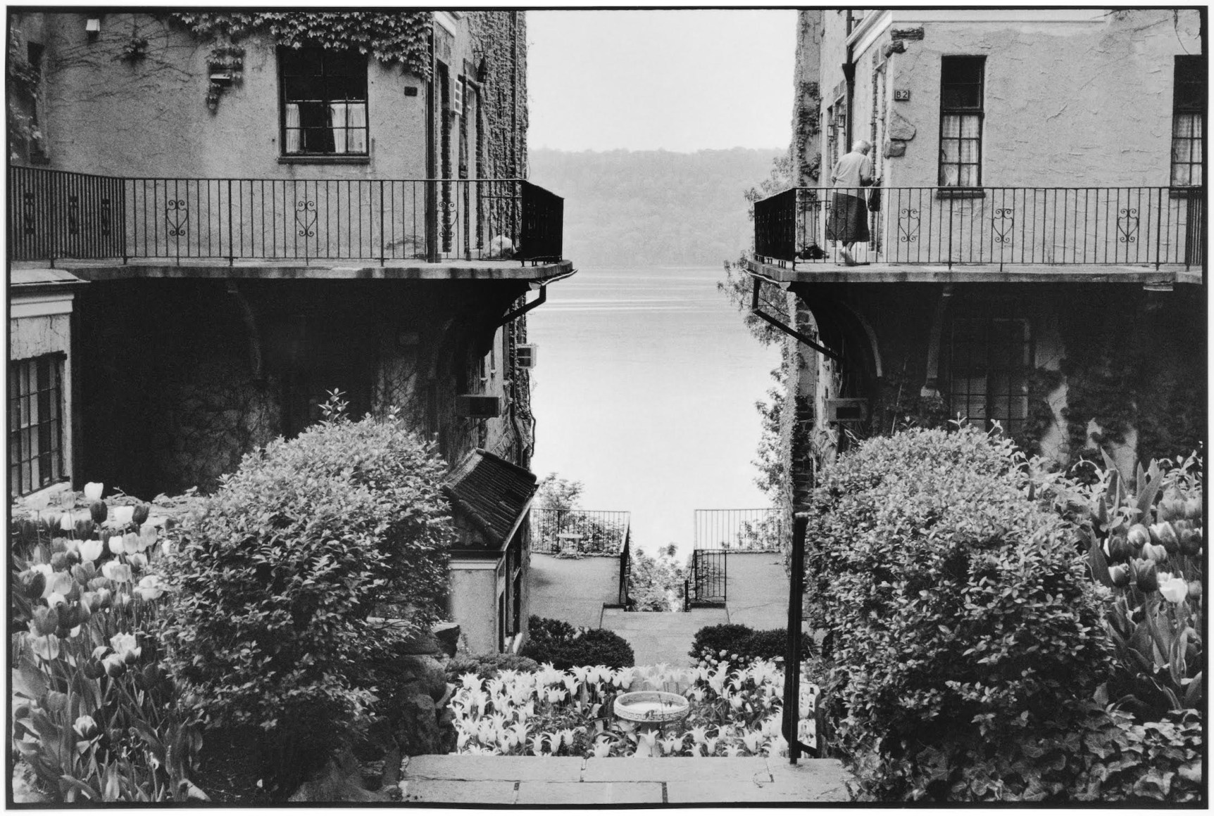 William Meyers (b. 1938, Providence)