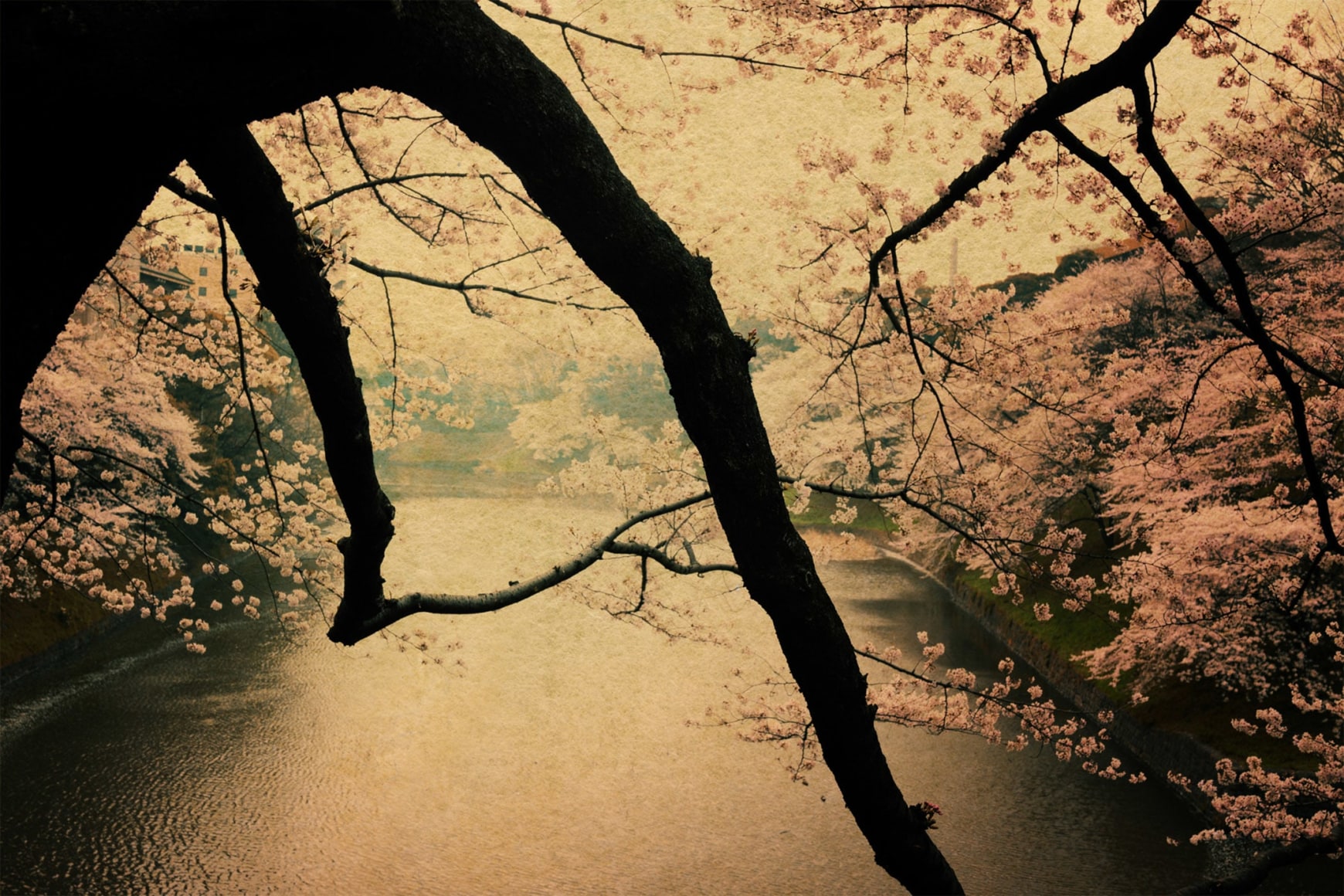 Albarr&aacute;n Cabrera (b. 1969), #278