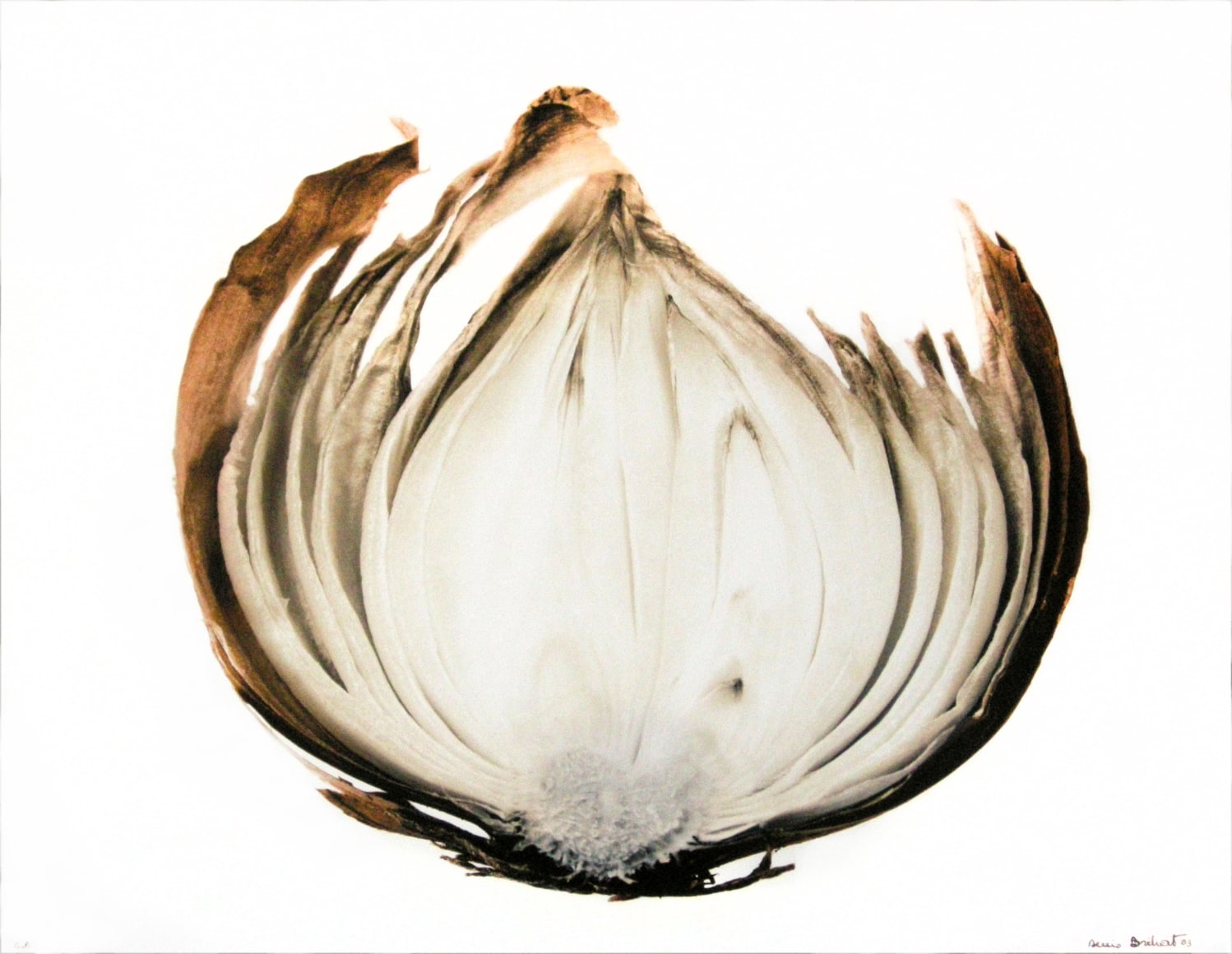 Tranche d&#039;oignon (Slice of onion),&nbsp;2002