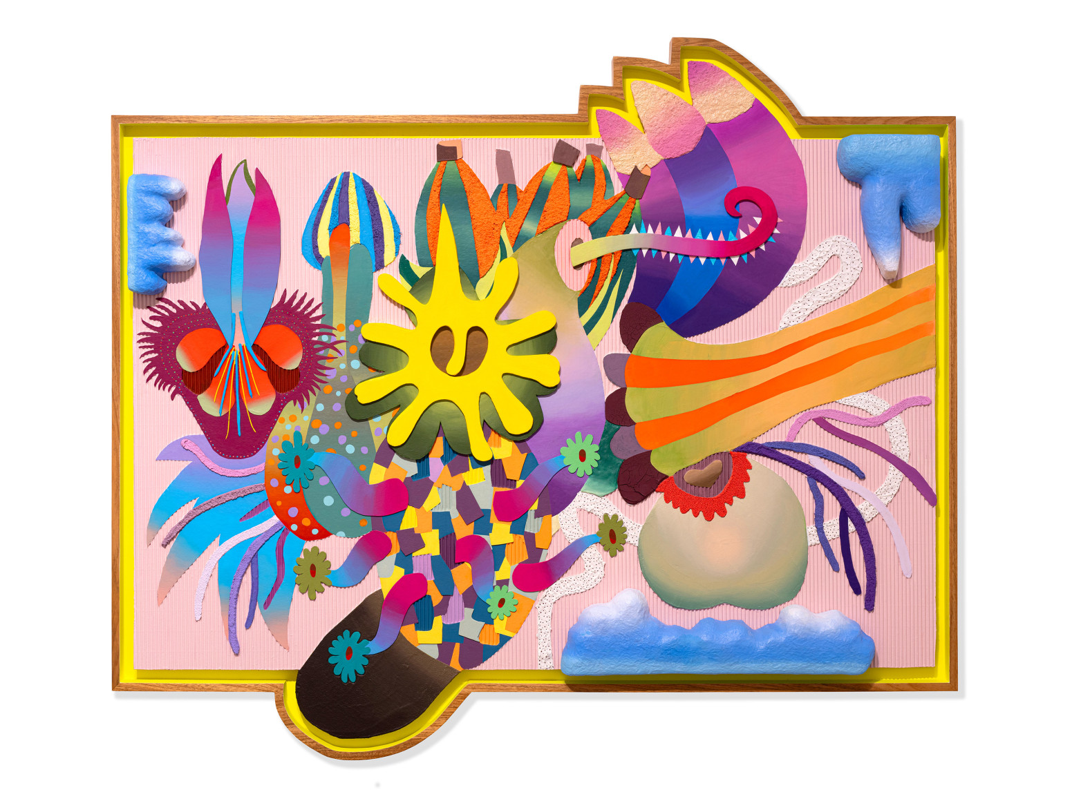 assume vivid astro focus