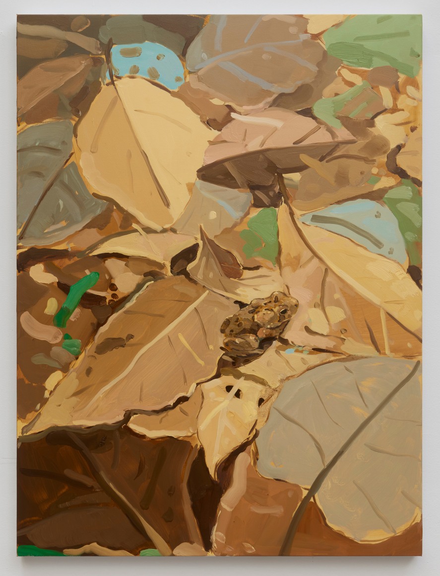 Stephen Bron Toad in Dry Leaves, 2025