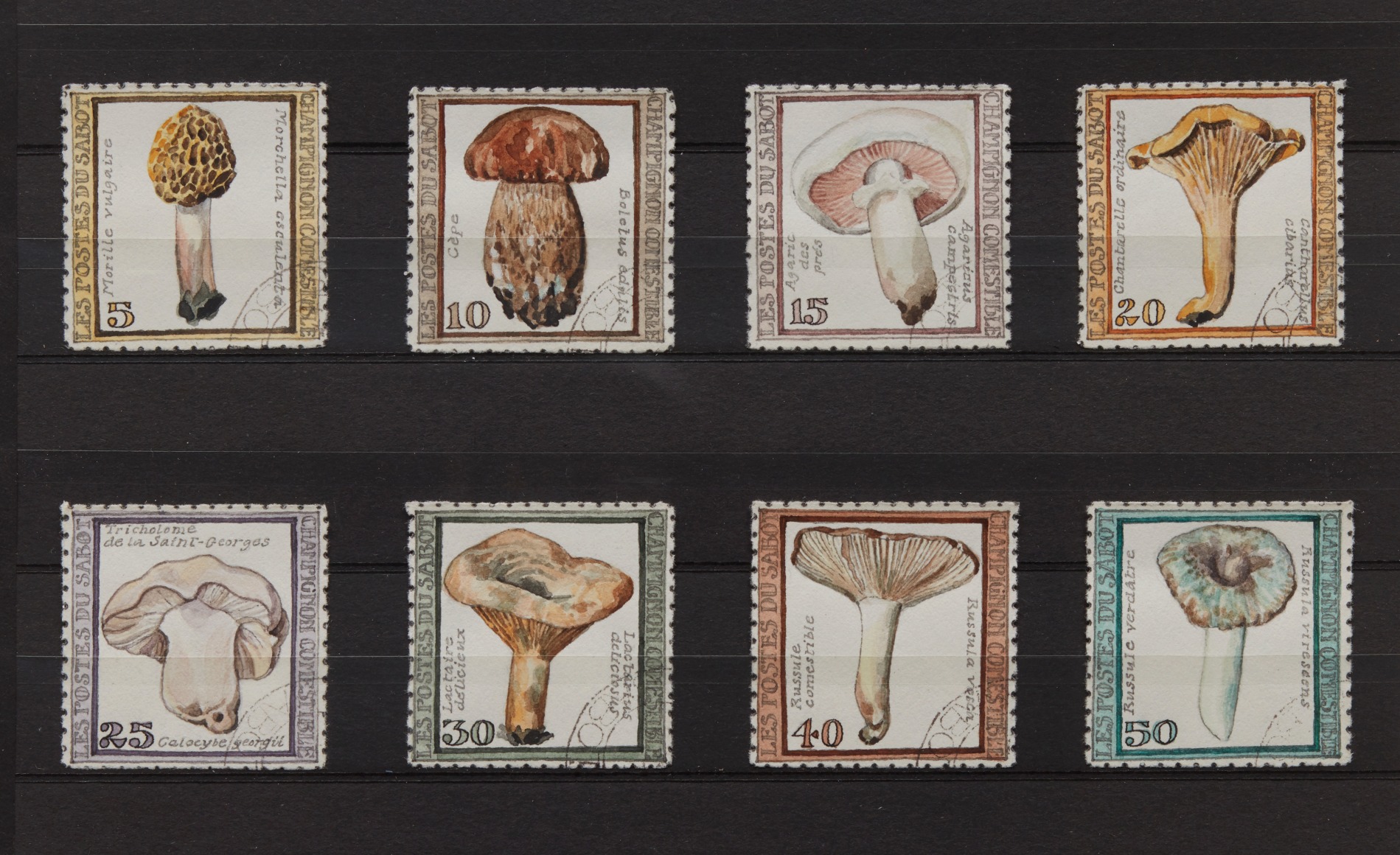 Donald Evans Sabot, 1966. Edible mushrooms.