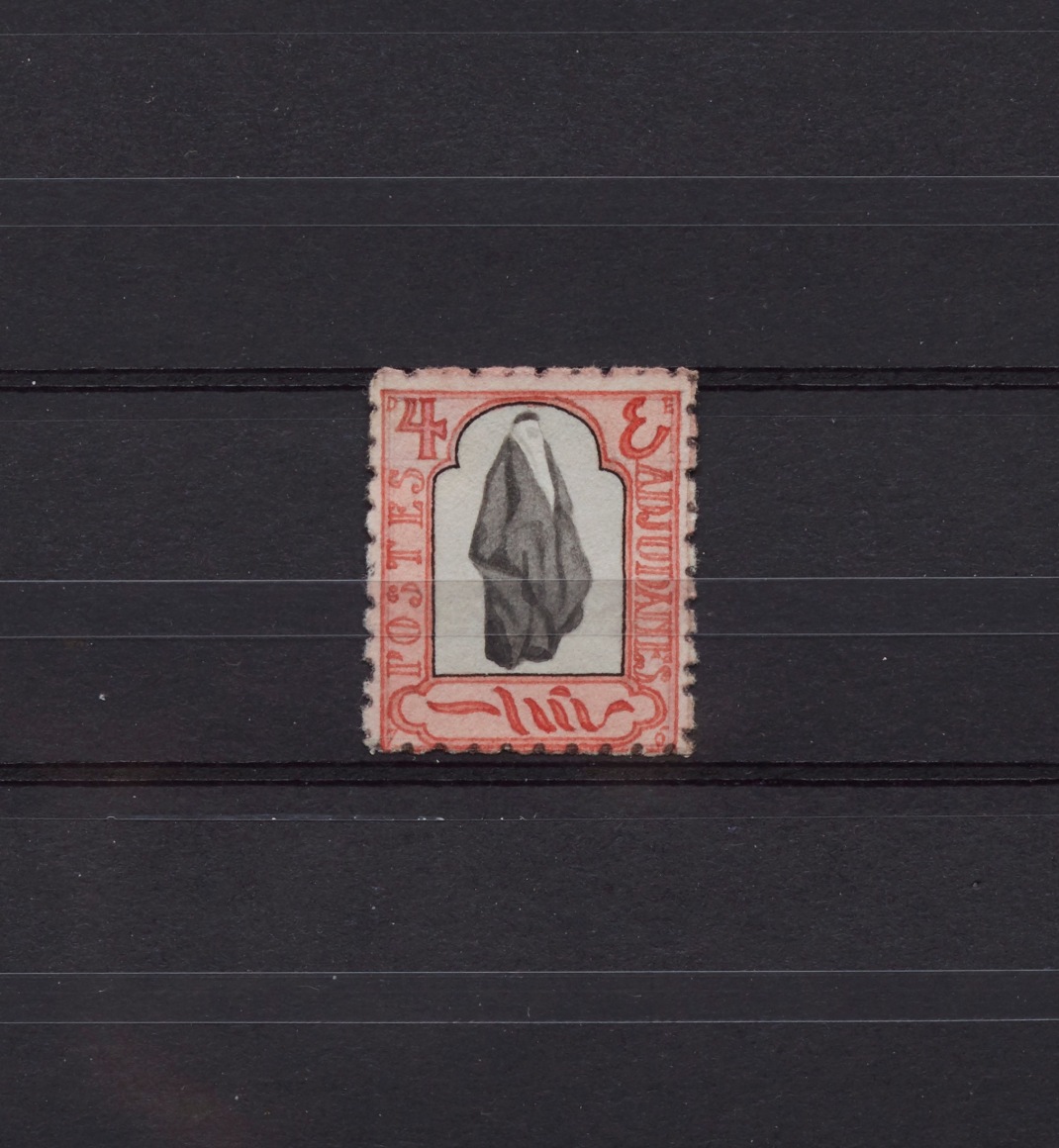 Donald Evans Adjudani. Veiled Adjudani woman. (Detail)