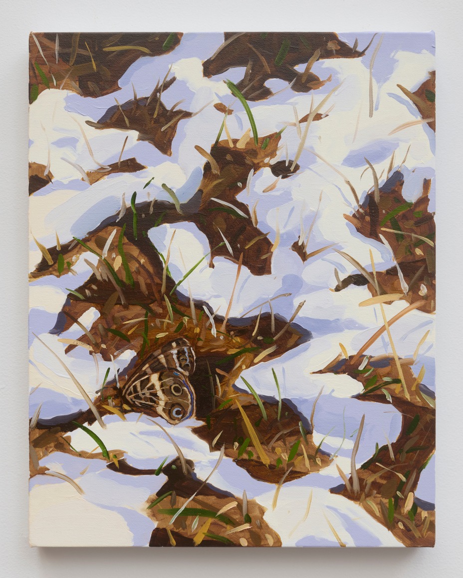 Stephen Bron The Subtle Air, 2024