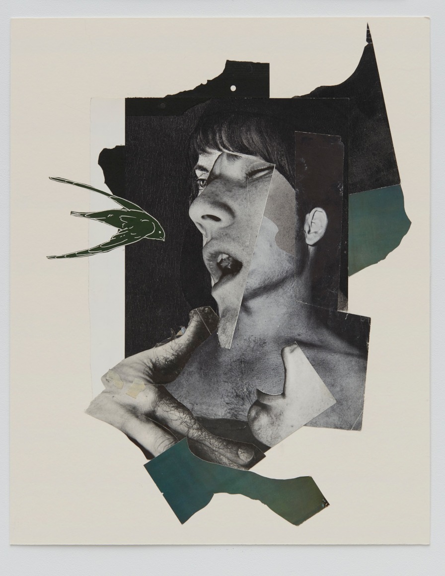 John O&#039;Reilly Bird, 2018