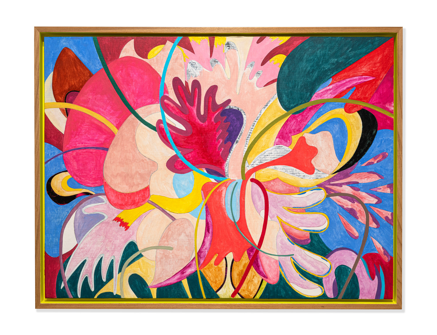 assume vivid astro focus