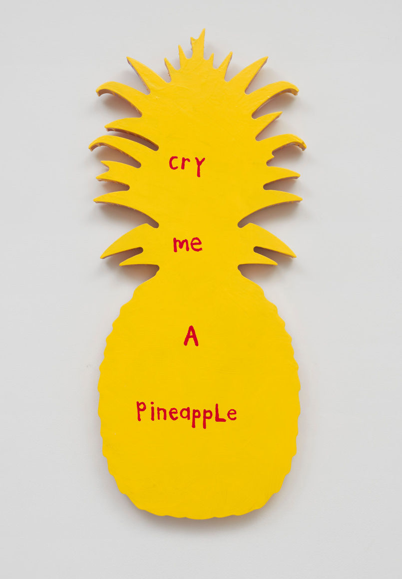 Cary Leibowitz Cry Me A Pineapple, 2024