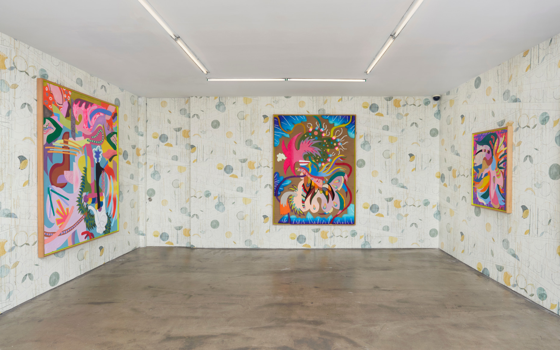 assume vivid astro focus