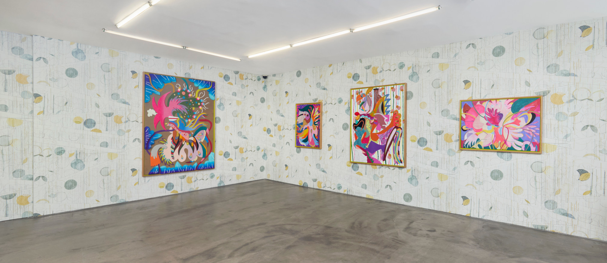 assume vivid astro focus