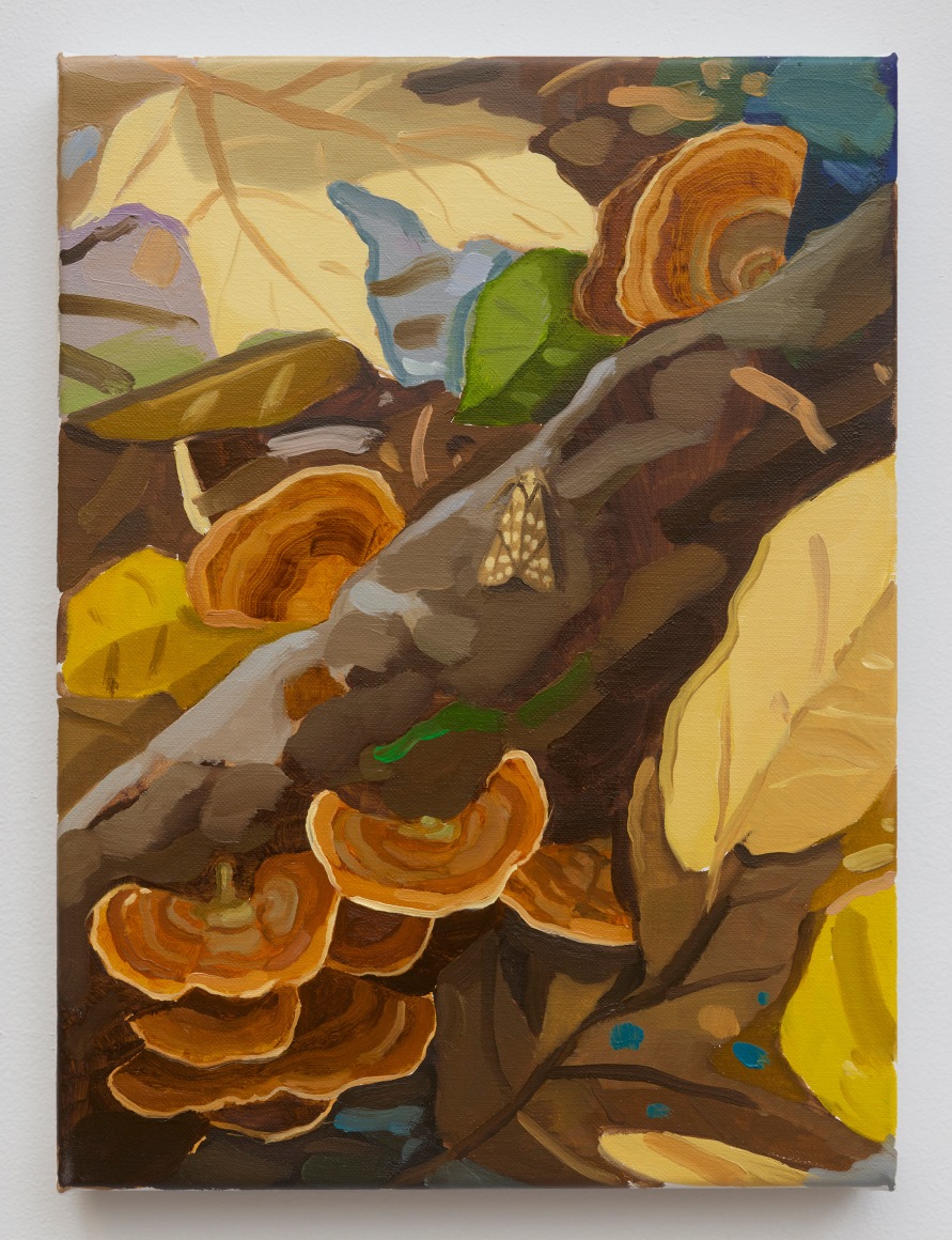 Stephen Bron Underfoot (The Divine Soil) #6, 2024-2025