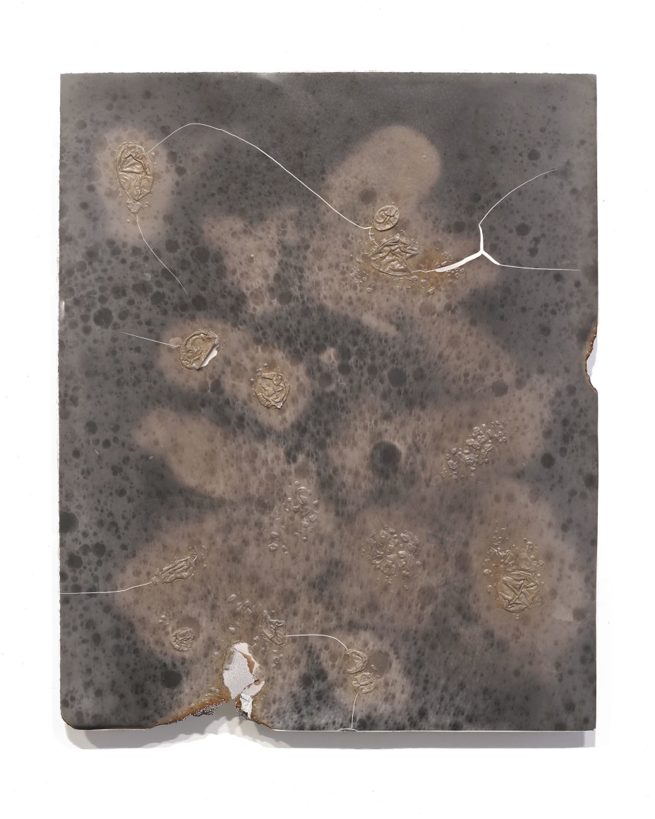 Joy Episalla foldtogram (burn 2), 2013/2020