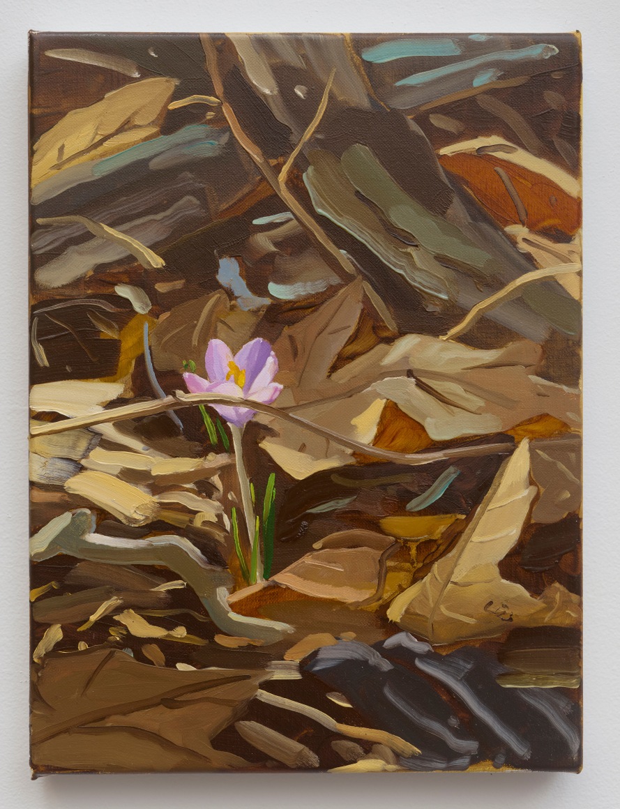 Stephen Bron Underfoot (The Divine Soil) #2, 2024-2025