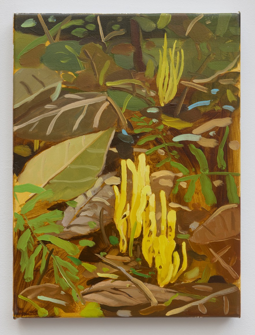 Stephen Bron Underfoot (The Divine Soil) #9, 2024-2025