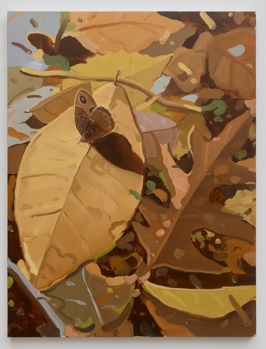 Stephen Bron A Common Wood Nymph, 2025