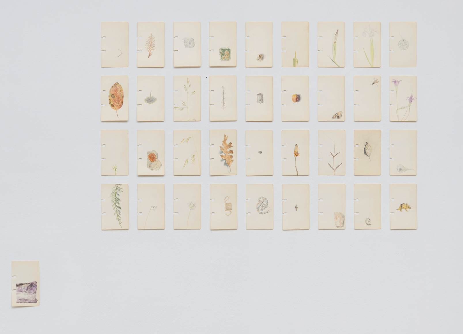 Colter Jacobsen field recording (from Alan Lomax&#039;s blank Rolodex), 2019 - ongoing