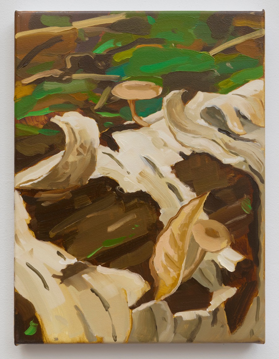 Stephen Bron Underfoot (The Divine Soil) #1, 2024-2025