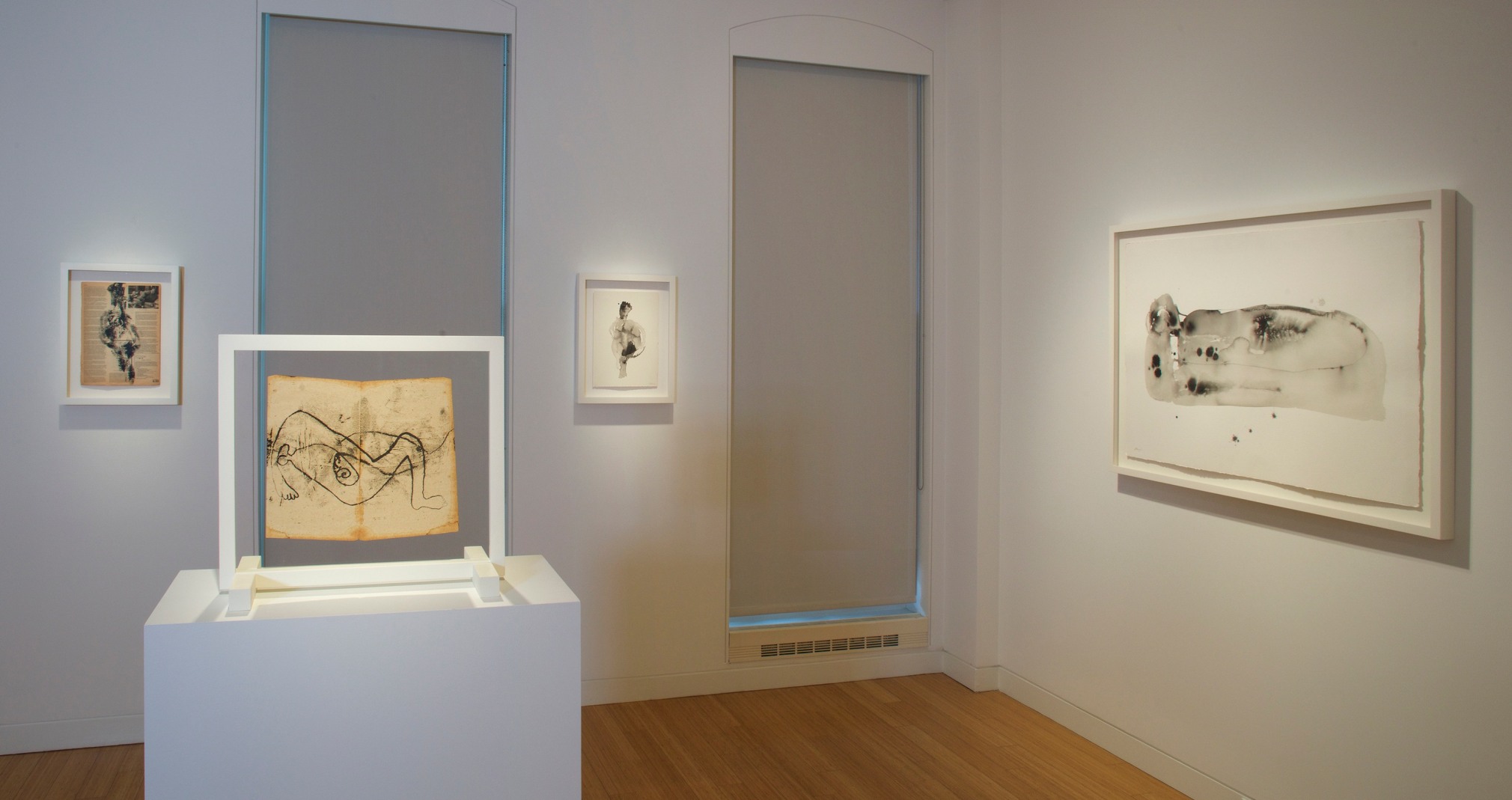 Whitney McVeigh: Elegy to Nature