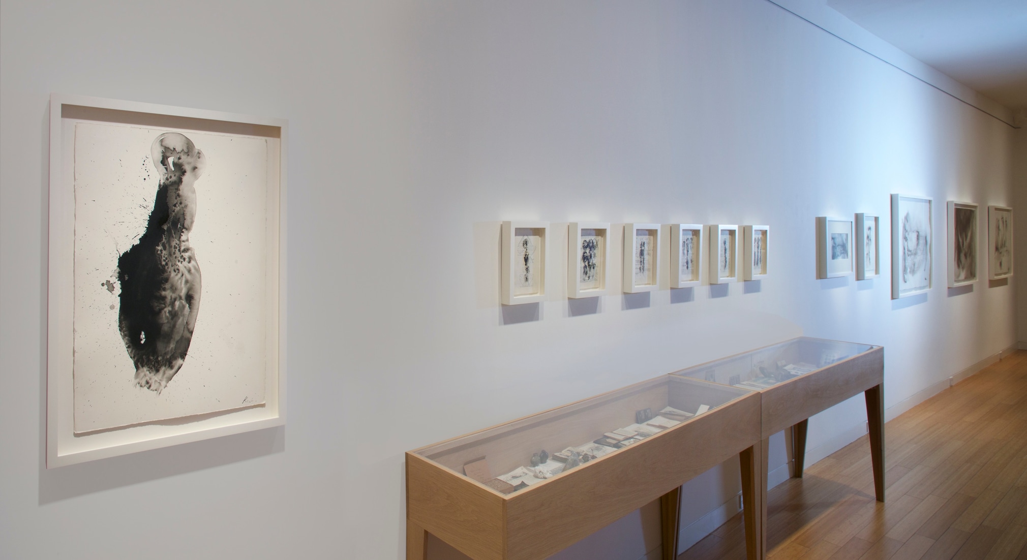 Whitney McVeigh: Elegy to Nature