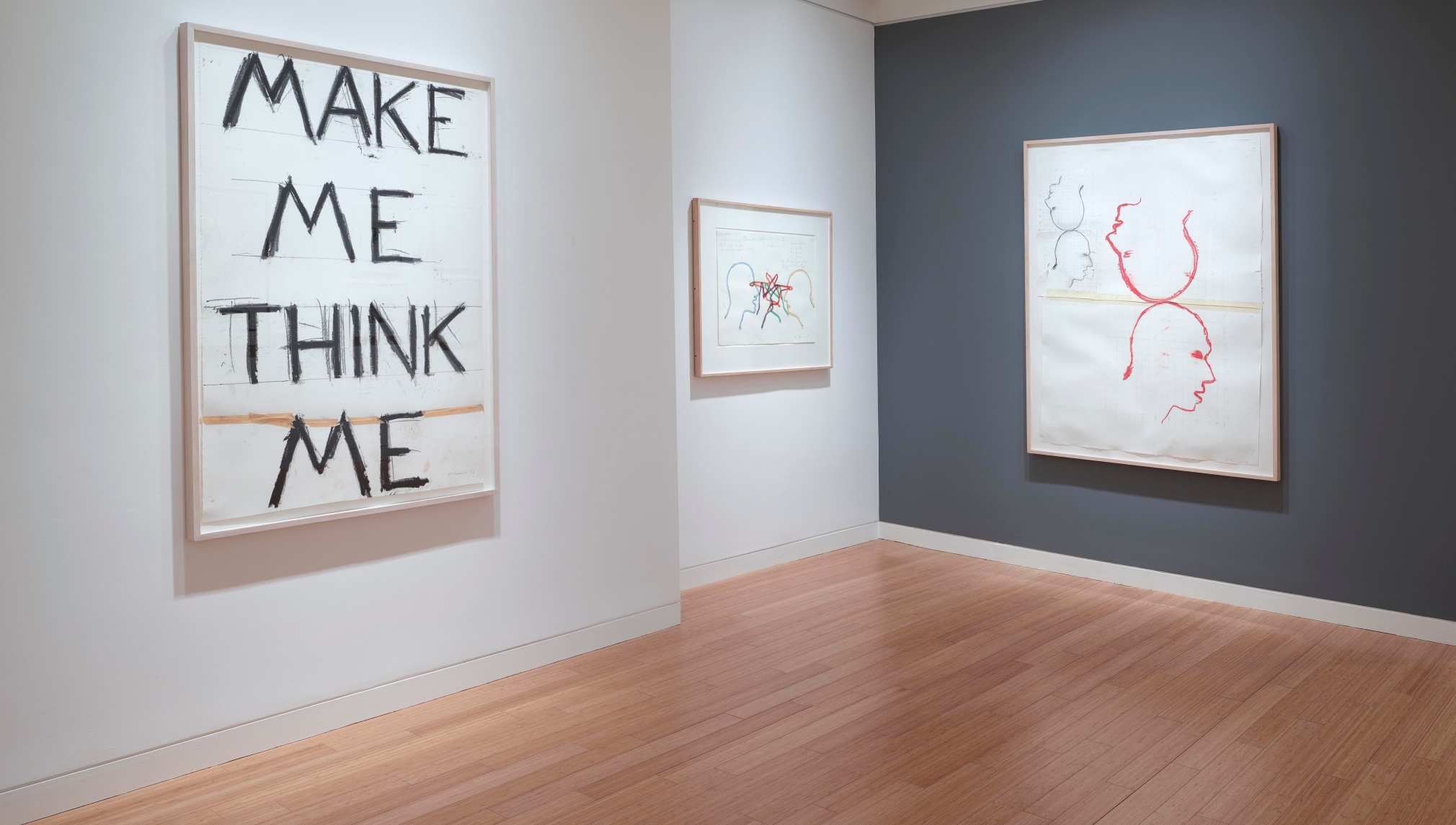 Polke | Nauman: Drawings from the Froehlich Collection