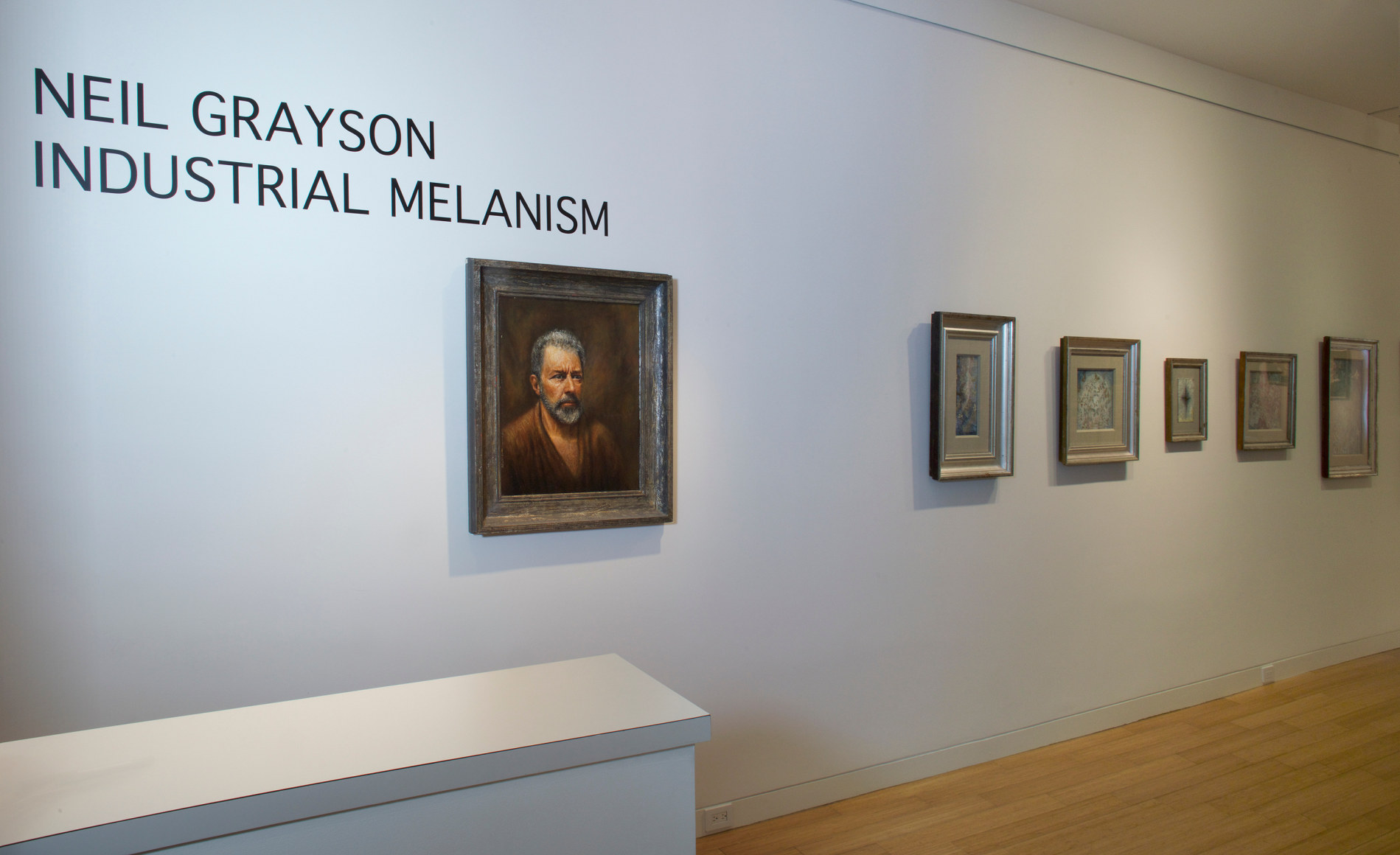 Neil Grayson: Industrial Melanism