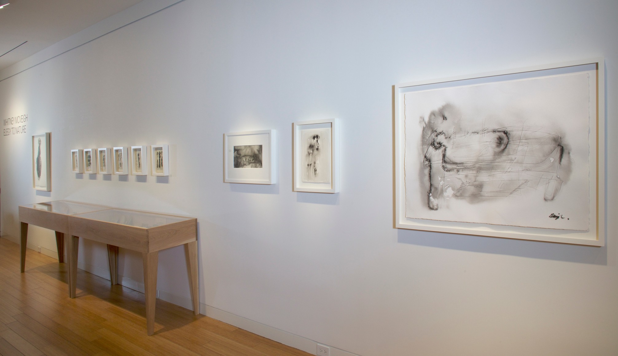 Whitney McVeigh: Elegy to Nature